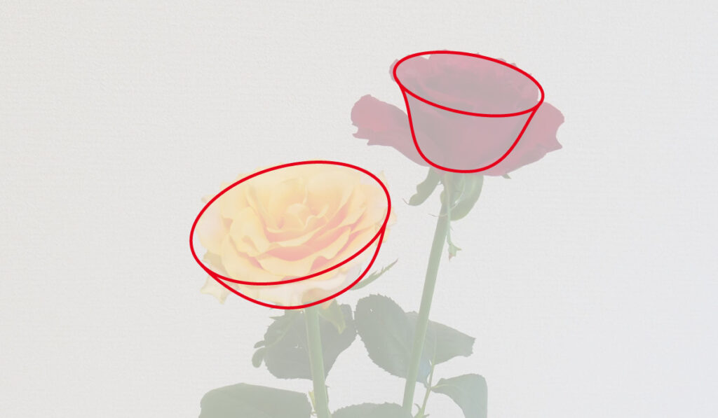 バラの花のお椀のイメージ