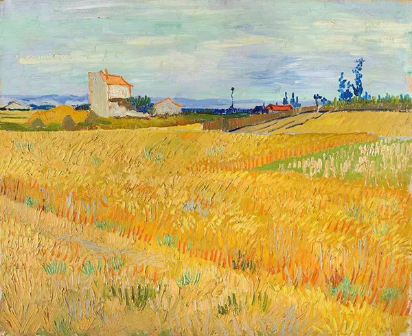 フィンセント・ファン・ゴッホ『麦畑』1888年